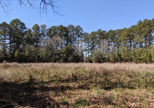 Rock Hill Development Site